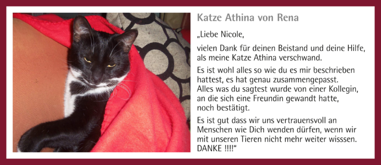 1_Kunden-Feedback_Katze Athina