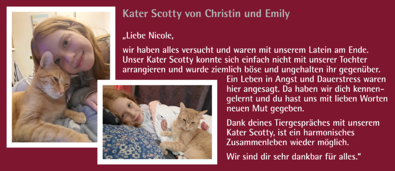 2_Kunden-Feedback_Kater Scotty