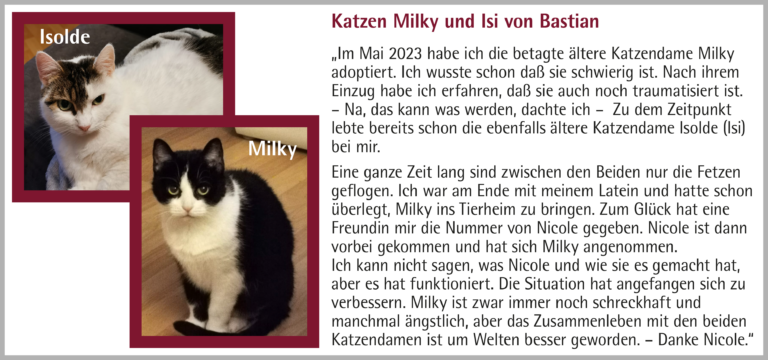 5_Kunden-Feedback_Katzen Milky + Isi