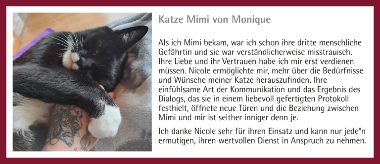 7_Kunden-Feedback_Katze Mimi